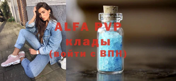 индика Белоозёрский