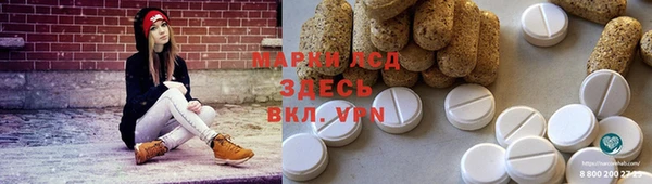 индика Белоозёрский