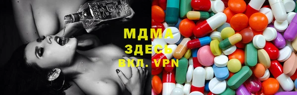 хмурый Белокуриха