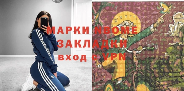 хмурый Белокуриха