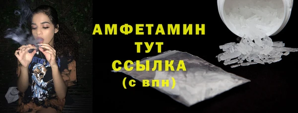 хмурый Белокуриха