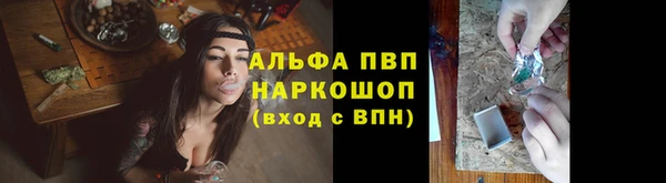 хмурый Белокуриха