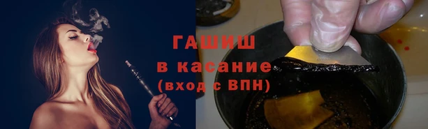 хмурый Белокуриха