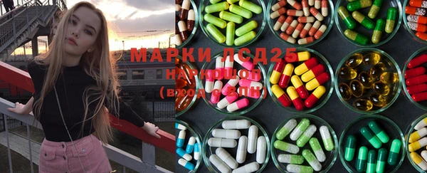 индика Белоозёрский