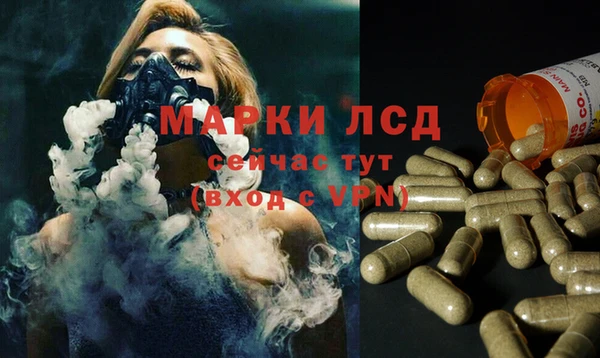 крисы Беломорск