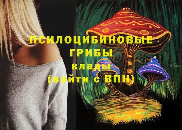крисы Беломорск