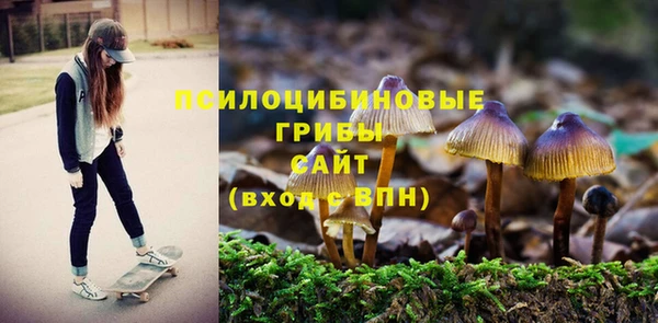 крисы Беломорск