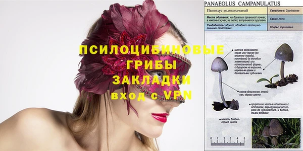 хмурый Белокуриха